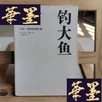 正版旧书钓大鱼：大卫·林奇的创意之道Y-D-S-D