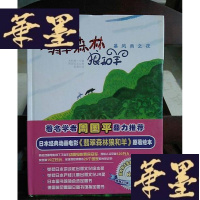 正版旧书暴风雨之夜/翡翠森林狼和羊第1册：《暴风雨之夜》Y-D-S-D