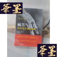 正版旧书痛苦与狂喜:向石而生:米开朗基罗传①Y-D-S-D