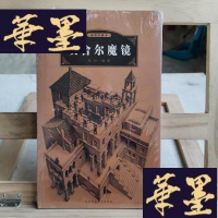正版旧书埃舍尔魔镜 （全彩珍藏本）Y-D-S-D