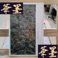 正版旧书毫无必要的热情Y-D-S-D