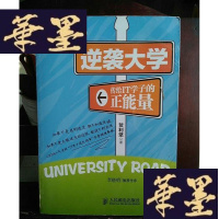 正版旧书逆袭大学:传给IT学子的正能量Y-D-S-D