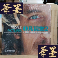 正版旧书非凡视觉2：大师的人像摄影构思与创作Y-D-S-D