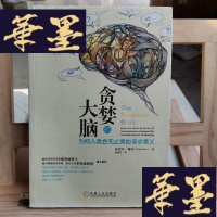 正版旧书贪婪的大脑:为何人类会无止境地寻求意义Y-D-S-D