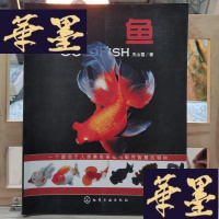 正版旧书金鱼Y-D-S-D