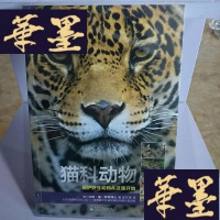 正版旧书自然之灵 猫科动物(全彩)Y-D-S-D