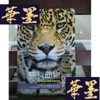 正版旧书自然之灵 猫科动物（全彩）Y-D-S-D