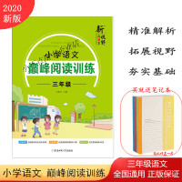 官方正版2021新版新视野小学语文巅峰阅读训练三年级语文推荐阅读