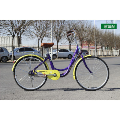 24寸淑女自行车女式车通勤车单车非变速城市车4色可选