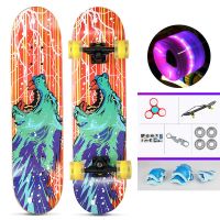 买一送八彩砂滑板儿童初学青少年专业四轮闪光双翘刷街滑板车男女儿童初学者