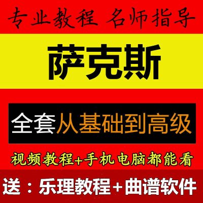 萨克斯零基础初级自学入教学视频教程萨克斯学习培训教材送曲谱