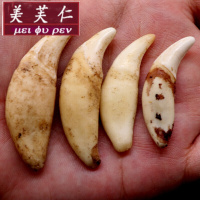 美芙仁现拔真黑狗牙项链情侣狼牙吊坠儿童狼狗饰品男士女骨质真牙齿寓意七夕情人节