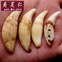 美芙仁现拔真黑狗牙项链情侣狼牙吊坠儿童狼狗饰品男士女骨质真牙齿寓意