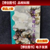 花卉栽培与养生