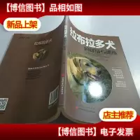 拉布拉多犬的赏玩与训练