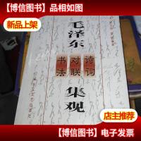 毛泽东诗词对联书法集观