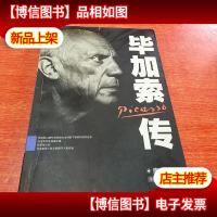 毕加索传