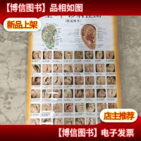 望耳诊病挂图 (附说明书)库存 非二手