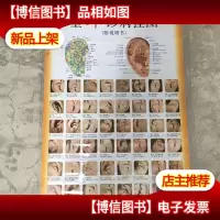 望耳诊病挂图 (附说明书)库存 非二手