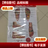足诊足疗挂图 附说明书 实库存 非二手