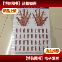 望手望甲诊病挂图 实库存 非二手