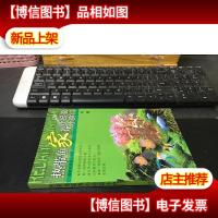 热带鱼家养小经验小窍门