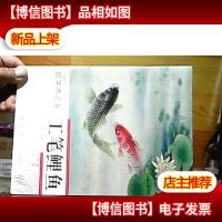 初学者之友:工笔鲤鱼