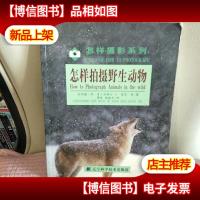 怎样拍摄野生动物