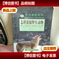 怎样拍摄野生动物