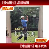 像大师一样打高尔夫