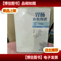 胃肠诊断图谱:下消化道(第2版)