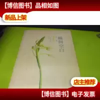 萌芽十年精华集·小说卷:瞬间空白