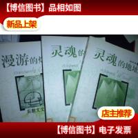 灵魂的地址 单本 (馆藏)