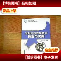 泥鳅高效养殖技术图解与实例