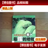 去最美的地方,看最炫的动物