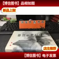 廖汉生回忆录. 未翻阅自然旧 精装
