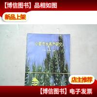 小麦节水高产研究