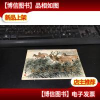 明信片 施永成动物画麋鹿