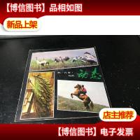 鹤·孔雀·马的动态. 品好