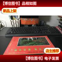 1992年艺术壁画. 艺术画片