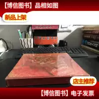 中国八大地震灾害摄影图集 12开精装