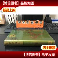 儿女英雄传 精装