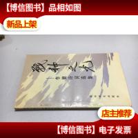 战神之光:李健诗词选集[李健签赠本]