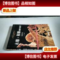 正版.木雕.根雕收藏与鉴赏