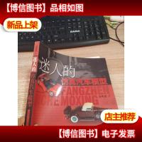 迷人的仿真汽车模型