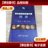 消化道遥控胶囊内镜图谱