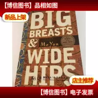 Big Breasts and Wide Hips:A Novel