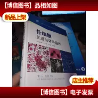 骨细胞图谱与体外培养