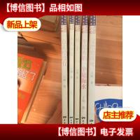 新时期小说名家名篇 过把瘾就死+一点正经没有+永失我爱+顽主+一