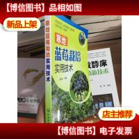 寒地蓝莓栽培实用技术